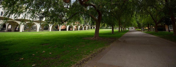 Rivera walkway and green lawn (c) UCR